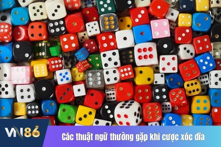 Các thuật ngữ thường gặp khi cược xóc đĩa